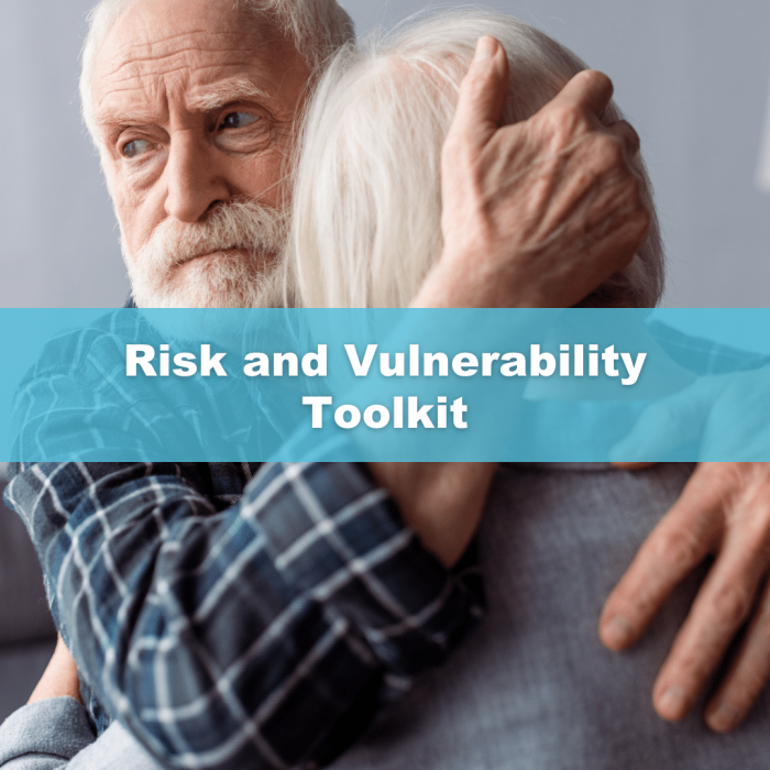 Risk And Vulnerability Toolkit